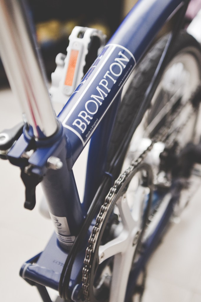 JojoBrompton (1 of 16)