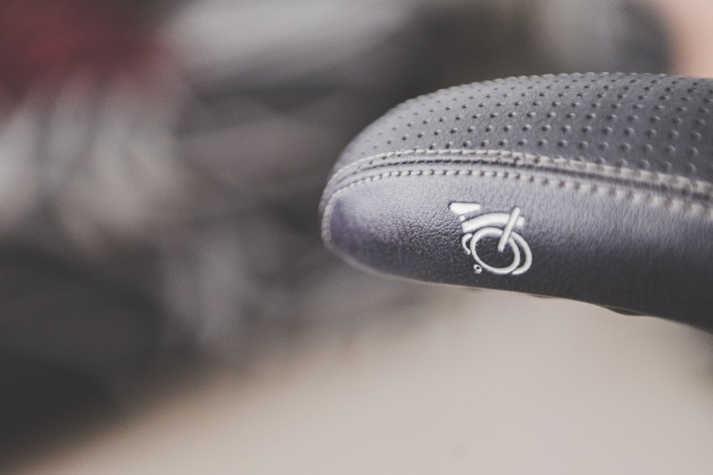 JojoBrompton (10 of 16)