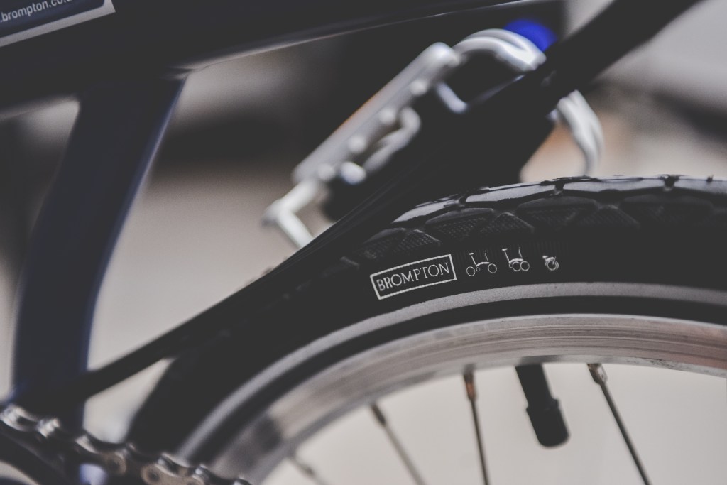 JojoBrompton (12 of 16)