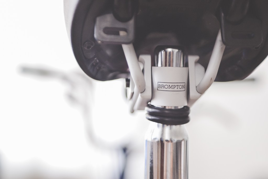 JojoBrompton (3 of 16)