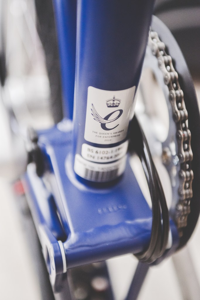 JojoBrompton (5 of 16)