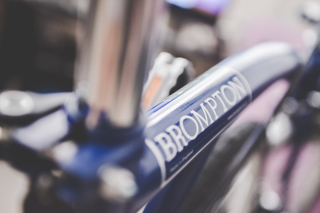 JojoBrompton (6 of 16)