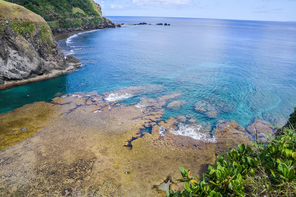 1014366_10203989631649204_7684145970404525664_n