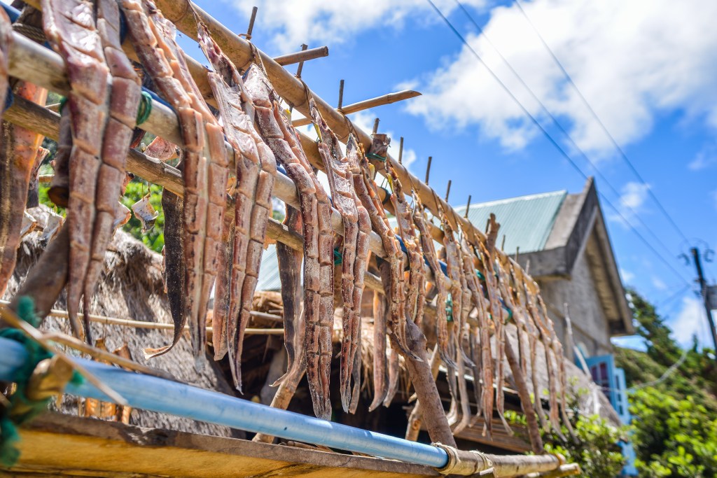 BatanesBartDay2 (40 of 46)